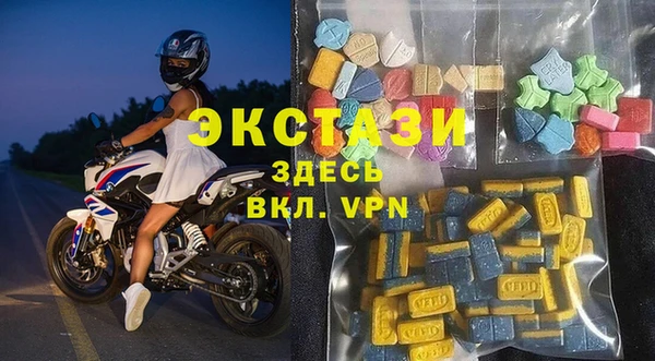 ГАЛЛЮЦИНОГЕННЫЕ ГРИБЫ Богданович