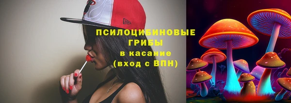 дмт Бугульма