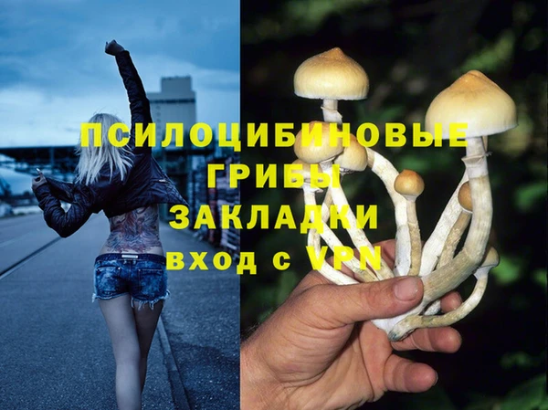ГАЛЛЮЦИНОГЕННЫЕ ГРИБЫ Богданович