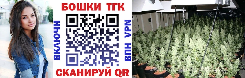 Бошки Шишки THC 21%  Невель 